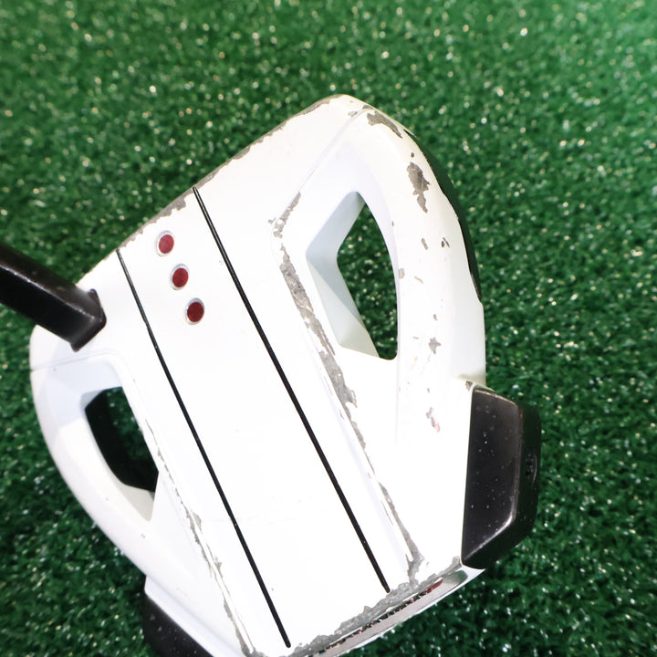 TaylorMade SPIDER EX PLATINUM / WHITE SMALL SLANT 34inch (210015694)