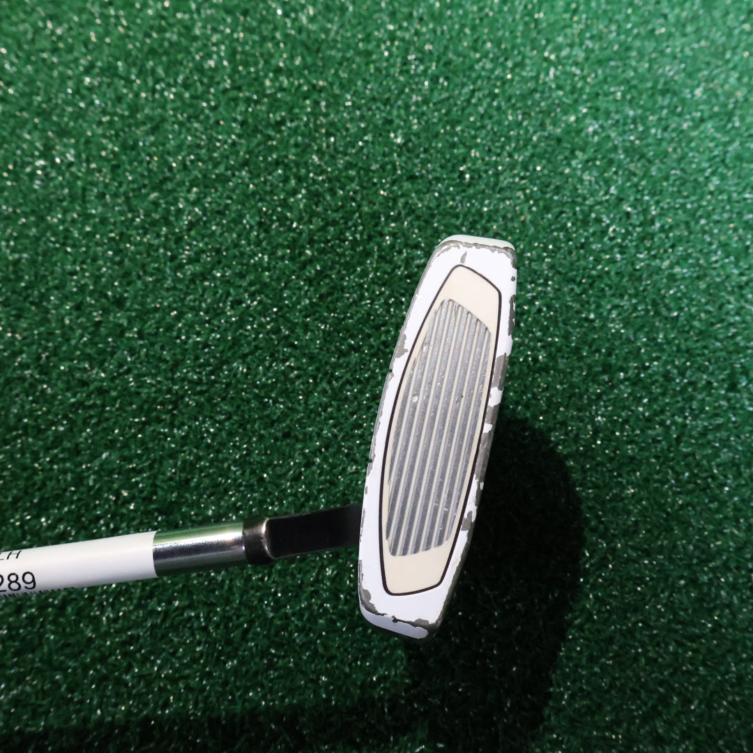 TaylorMade SPIDER EX PLATIUM/WHITE 34inch LH (210013404)